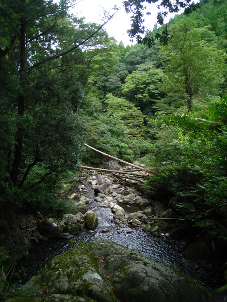 a0233432_23142592.jpg