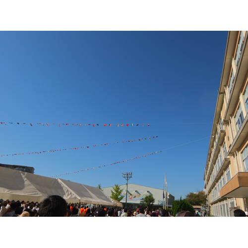 運動会2013_e0131432_178810.jpg