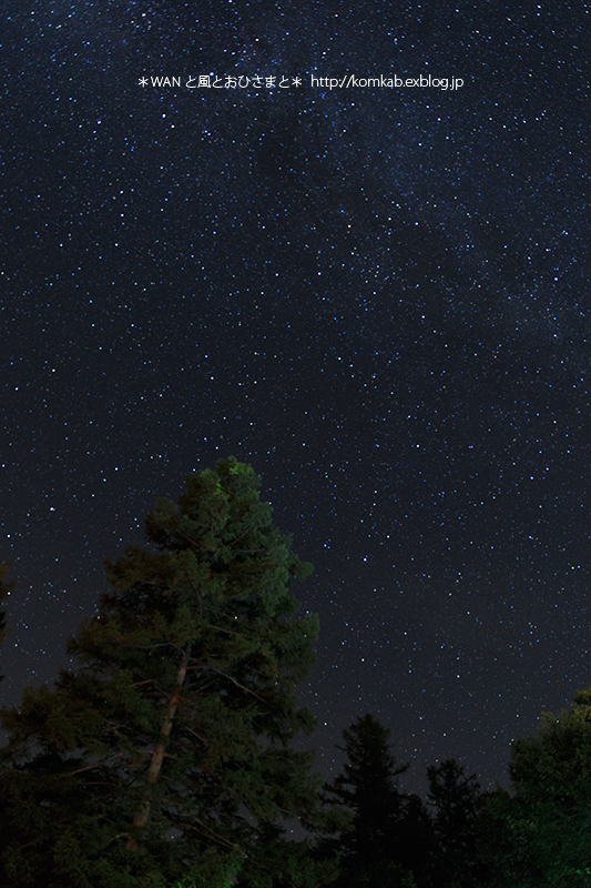 d0289733_20153847.jpg