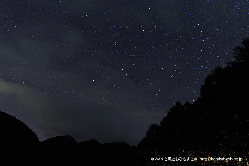 d0289733_20443.jpg