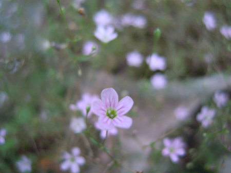 e0097534_17353494.jpg