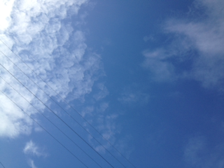 b0190640_228321.png