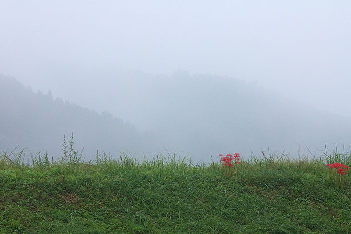 c0067040_22501580.jpg