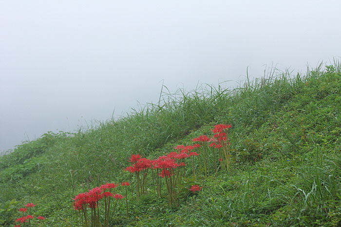 c0067040_2256376.jpg