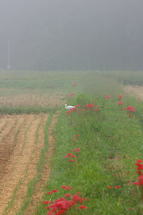 c0067040_2257055.jpg