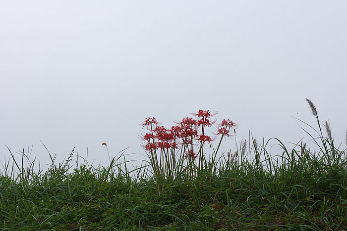 c0067040_22572720.jpg