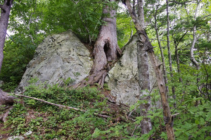 d0237340_19372616.jpg