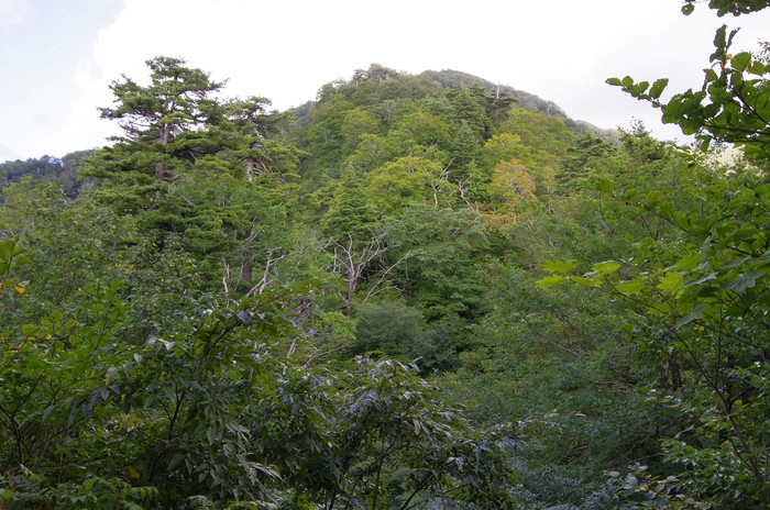 d0237340_19381632.jpg