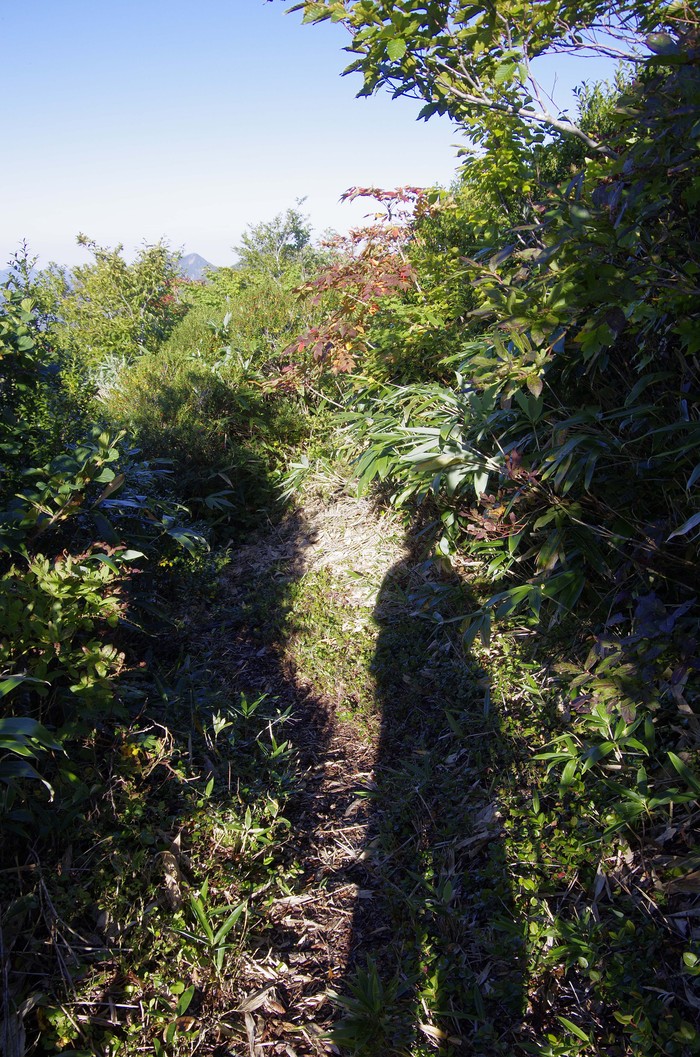 d0237340_19433468.jpg