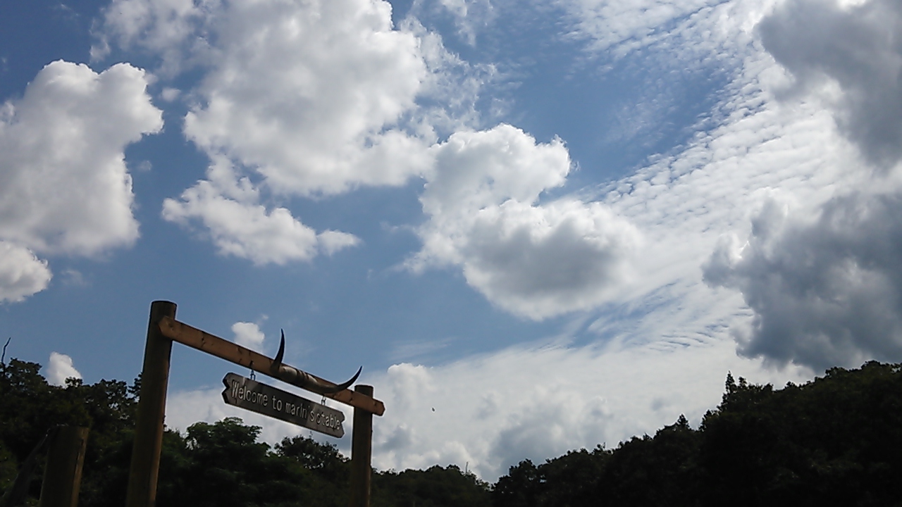 秋雲一杯_e0145441_5502347.jpg