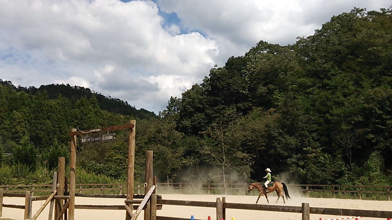 秋雲一杯_e0145441_550534.jpg