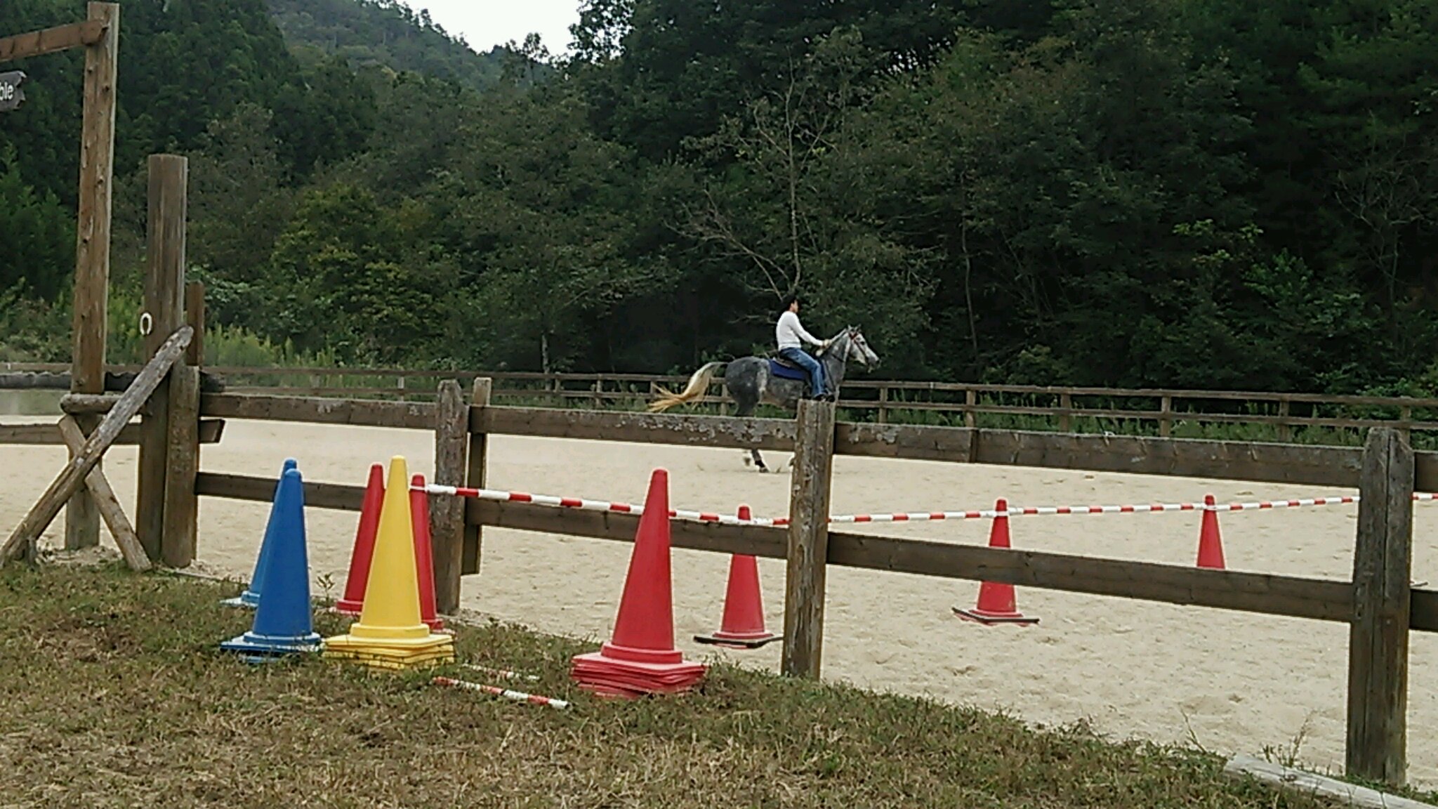秋雲一杯_e0145441_5561356.jpg