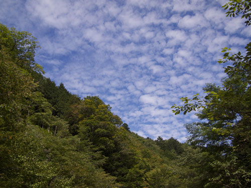e0201348_64558.jpg