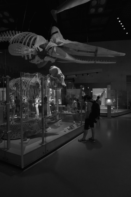 e0293862_12254299.jpg