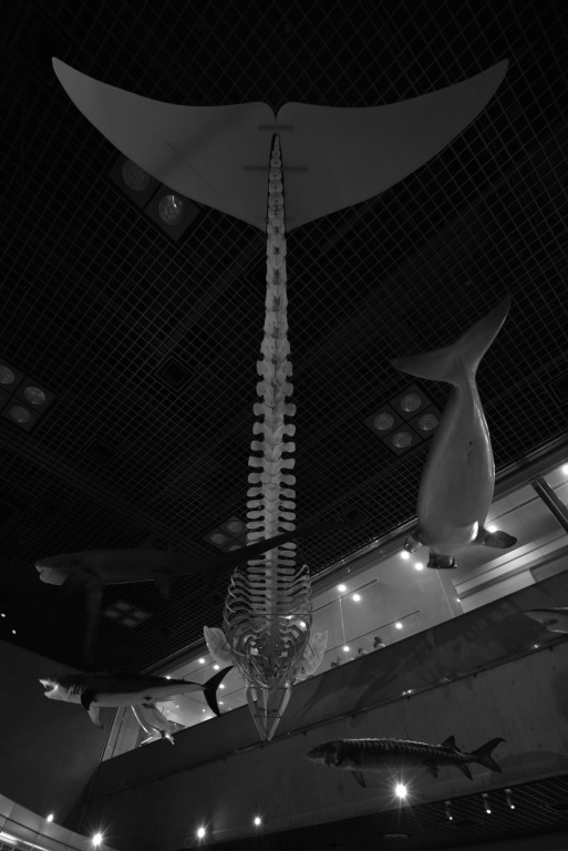e0293862_12265160.jpg