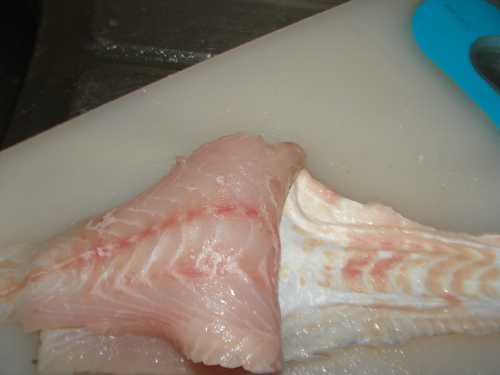 キジハタを刺身に アジエンスの放浪と釣り 函館