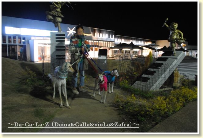 いざ名古屋へ 車中泊の旅 その１ だ か ら ｚvpc D A Ca La Zvpc Daina Calla Viola Zafra Viser Polen Charis