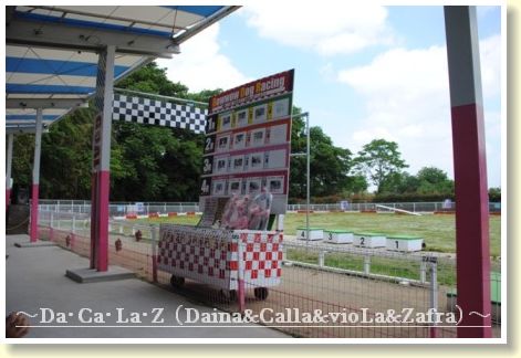 いざ名古屋へ 車中泊の旅 その１ だ か ら ｚvpc D A Ca La Zvpc Daina Calla Viola Zafra Viser Polen Charis