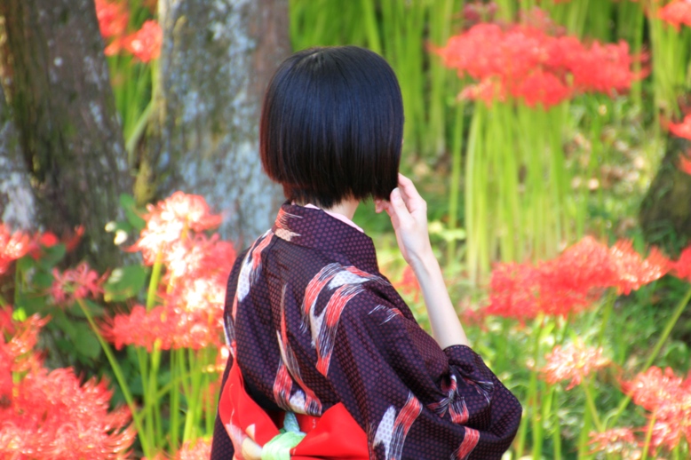 彼岸花と女性 好きな写真と旅とビールと