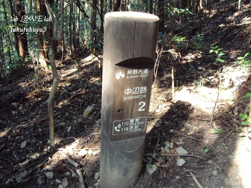 b0196568_973530.jpg