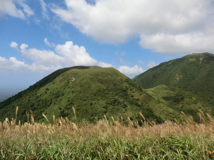 b0185573_20143029.jpg