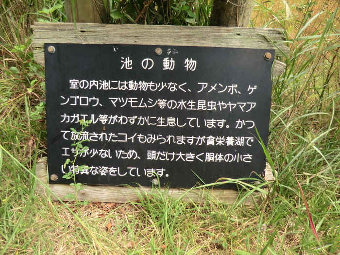 b0185573_210021.jpg