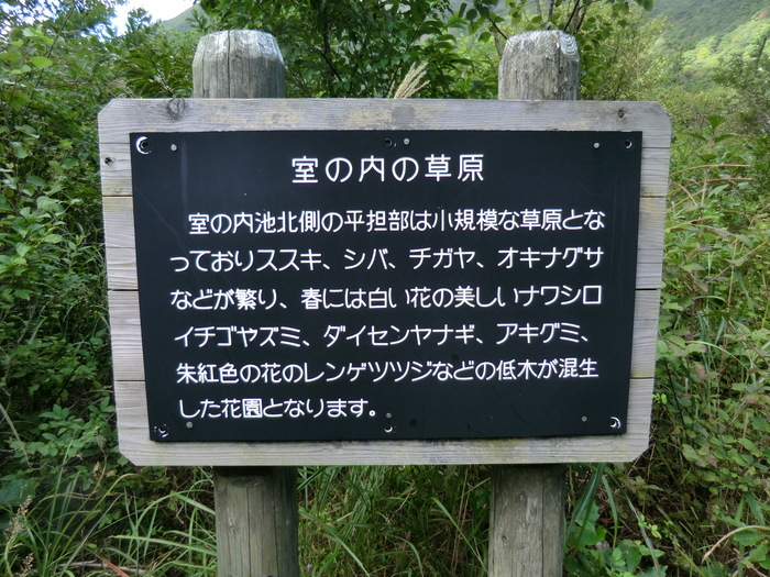 b0185573_2192214.jpg
