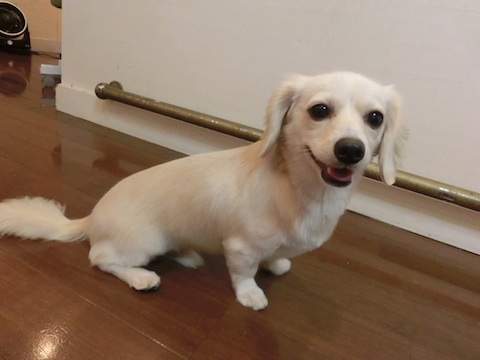 f0150073_16572651.jpg