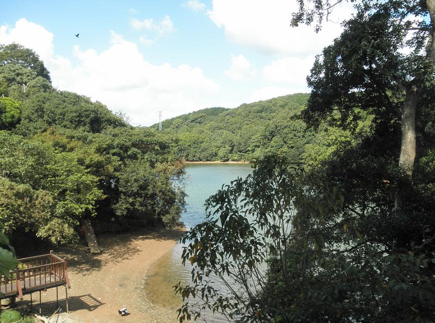 f0101679_21133897.jpg