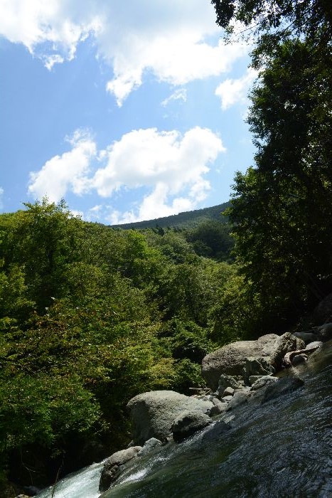 d0164783_232711.jpg