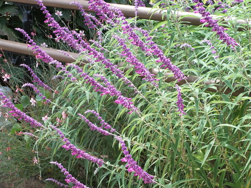 b0230589_8533030.jpg