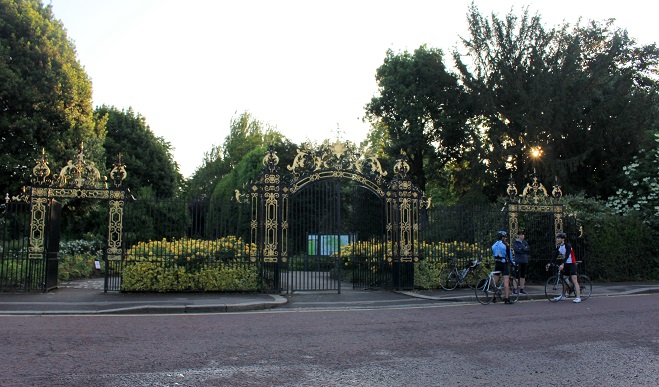 d0099791_10244482.jpg