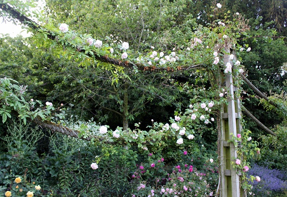 d0099791_10255915.jpg