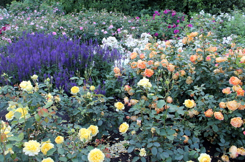 d0099791_1026329.jpg