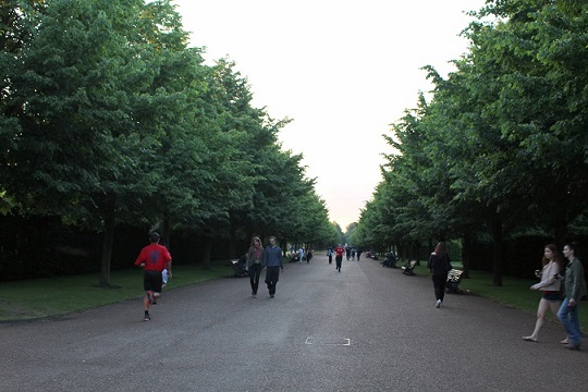 d0099791_10295066.jpg