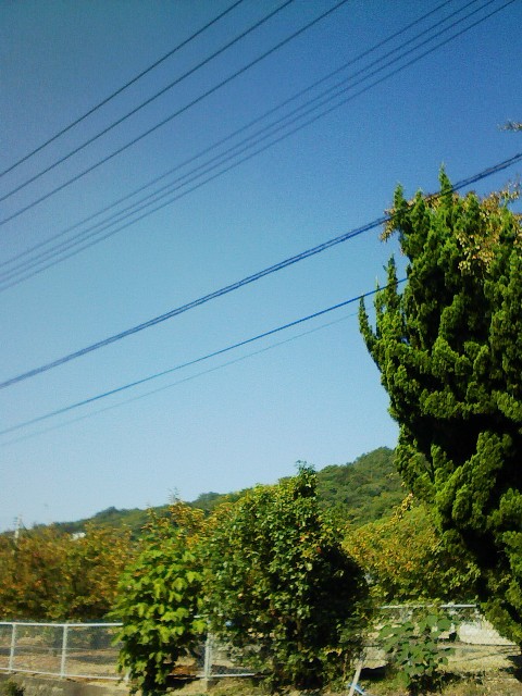 c0115092_99445.jpg