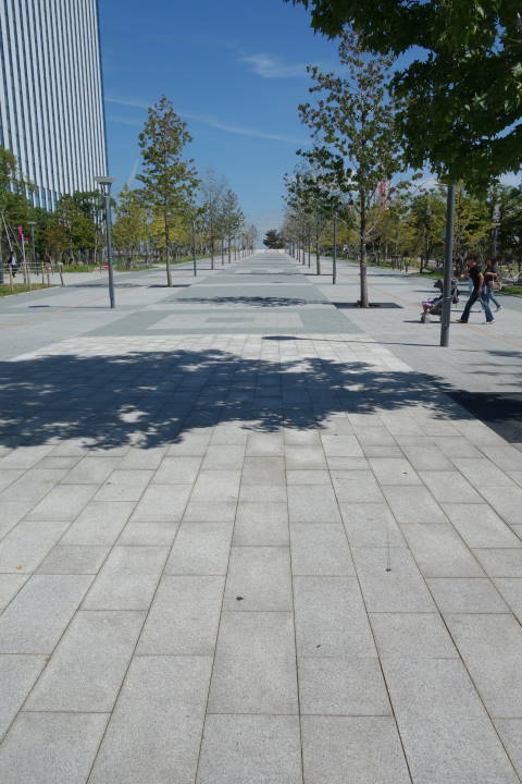 d0069495_15592166.jpg