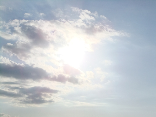 b0207496_16485324.jpg