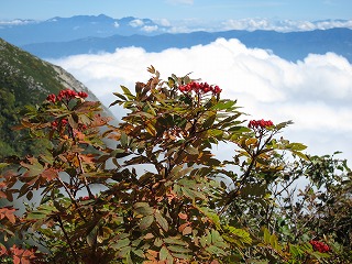 c0212298_2325346.jpg