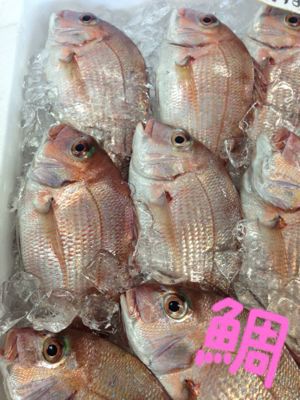 🐟今日のおさかな🐟_d0235898_2231566.jpg