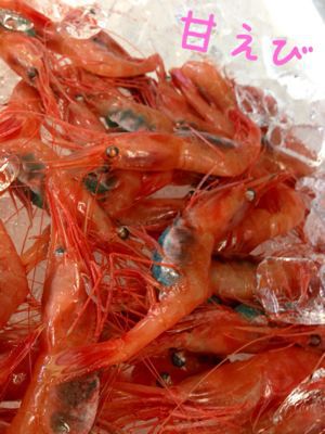 🐟今日のおさかな🐟_d0235898_22315672.jpg
