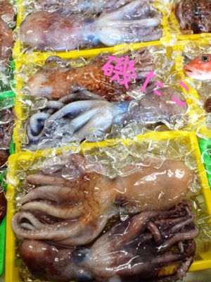 🐟今日のおさかな🐟_d0235898_2231581.jpg