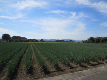 深谷花園寄居リハビリポタ　1_a0117599_20344024.jpg