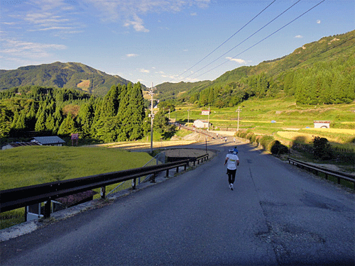 b0108100_332341.gif