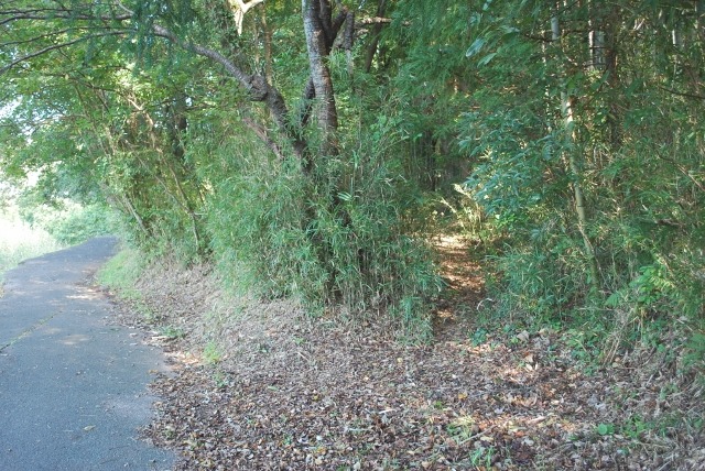 e0025300_17334451.jpg