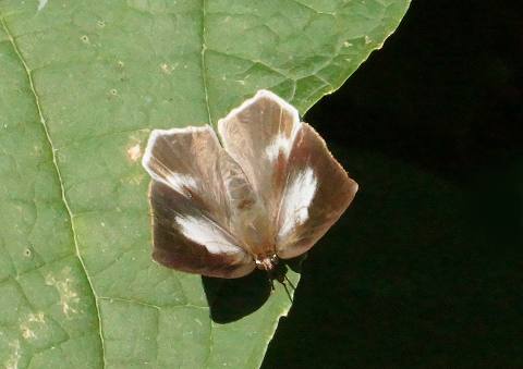 a0117305_23281346.jpg