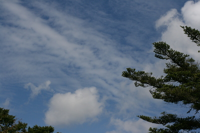 10月ですね_e0179508_132285.jpg