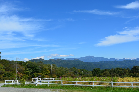 c0097309_8432082.jpg