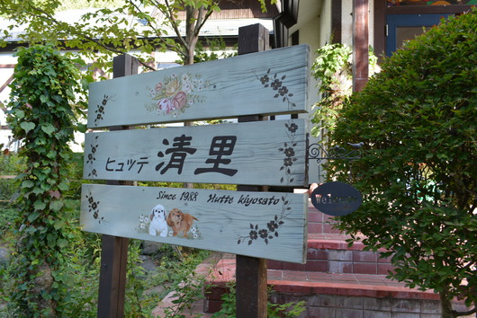 c0097309_8561457.jpg