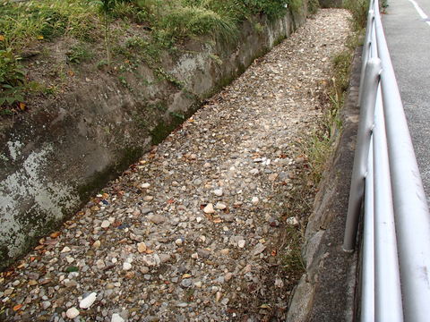 c0165909_17494843.jpg